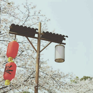 我的美母教师珠帘篇笔趣阁最新章节更新
